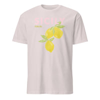 Cuccico Sicily graphic t-shirt in Ice Grey, relaxed travel tee