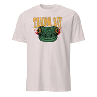 Trauma Ray New Shirt in ice grey by Cuccico stylish merch tee
