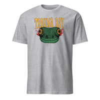 Trauma Ray New Shirt in sport grey by Cuccico premium band tee