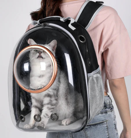How to choose the Best Cat Backpack Carriers