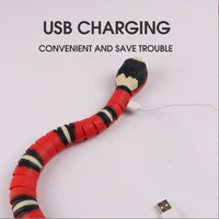 Smart Sensing Snake Cat Toy with USB Charging - YourCatBackpack.Co