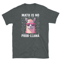 Funny Math Is No Prob-Llama T-Shirt | Teacher Gift - Cuccico Design