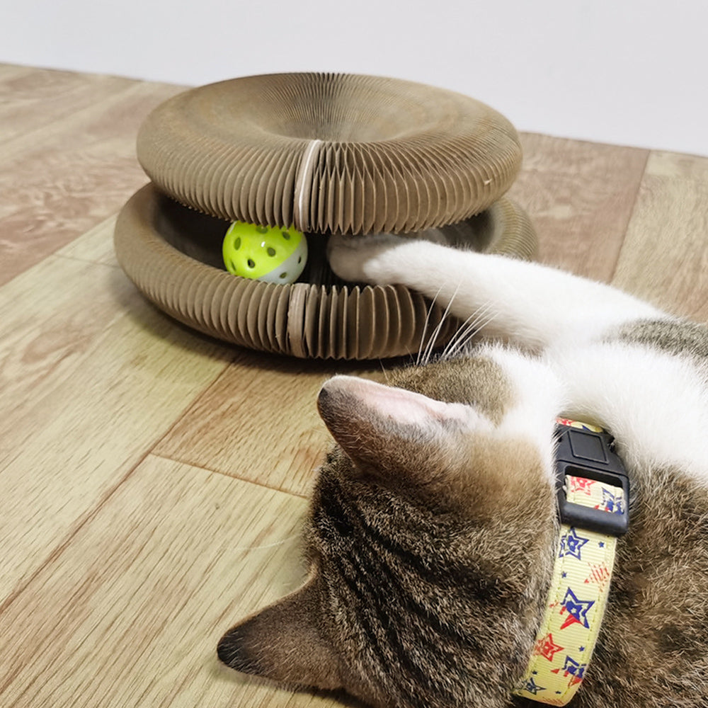Magic Organ Cat Scratching Board - YourCatBackpack.Co