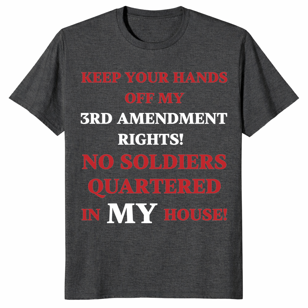 3rd amendment rights sarcastic shirt in dark heather grey