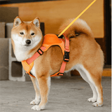 Innovative Dog Walking Harness with Retractable Leash - YourCatBackpack.Co