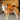 Innovative Dog Walking Harness with Retractable Leash - YourCatBackpack.Co