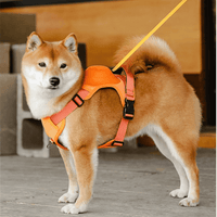 Innovative Dog Walking Harness with Retractable Leash - YourCatBackpack.Co