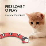 Smart Sensing Snake Cat Toy with USB Charging - YourCatBackpack.Co