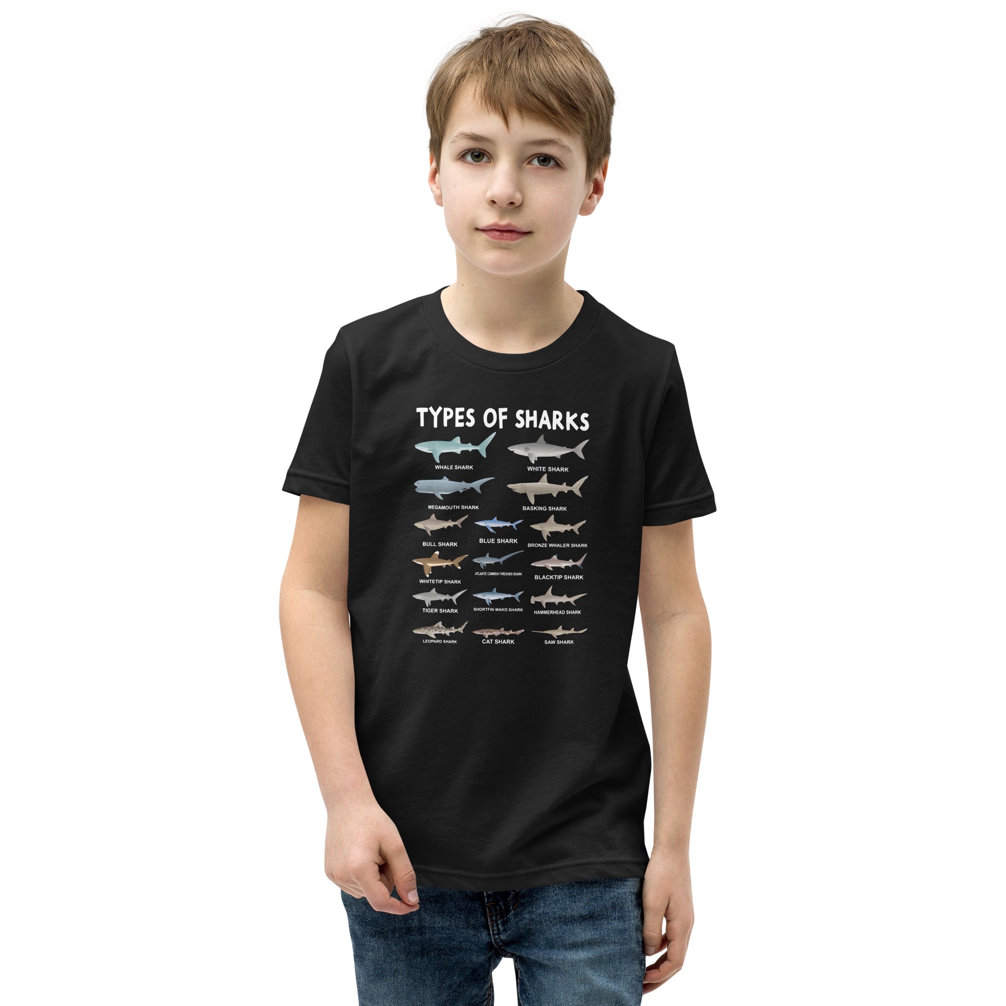Youth Shark T-Shirt: Types of Sharks Graphic Tee - Cuccico Design