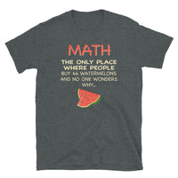 Math Watermelon Shirt - Funny Math Lover Gift Tee - Cuccico Design