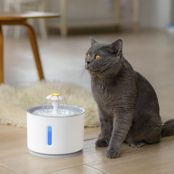 Automatic Pet Cat Water Fountain with LED Lighting - YourCatBackpack.Co