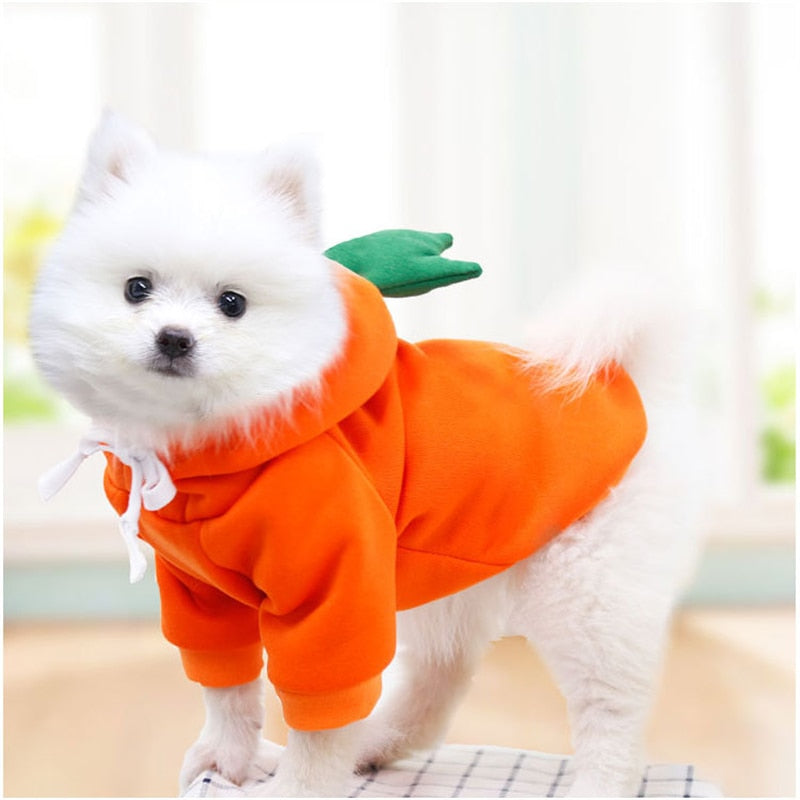 Pet Clothes Dogs Hooded Sweatshirt Fruit Warm Coat Cat Sweater Cold Weather Costume for Puppy Small Medium Large Dog Cat Clothes - YourCatBackpack.Co