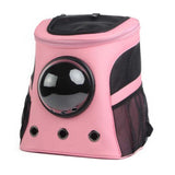 The Fat Cat Carrier Backpack for Larger Cats - YourCatBackpack.Co
