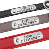 Customizable PU Leather Dog Collar - YourCatBackpack.Co