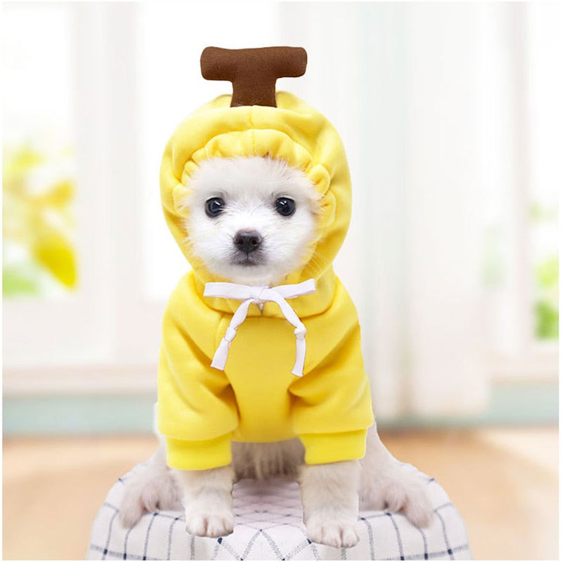 Pet Clothes Dogs Hooded Sweatshirt Fruit Warm Coat Cat Sweater Cold Weather Costume for Puppy Small Medium Large Dog Cat Clothes - YourCatBackpack.Co