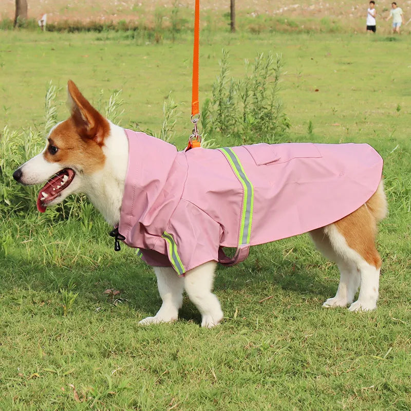 Manteau imperméable de qualité supérieure pour grand chien – Cape Corgi élégante, imperméable et réfléchissante.
