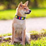 Collier pour chien en nylon élégant et réfléchissant pour petites et grandes races