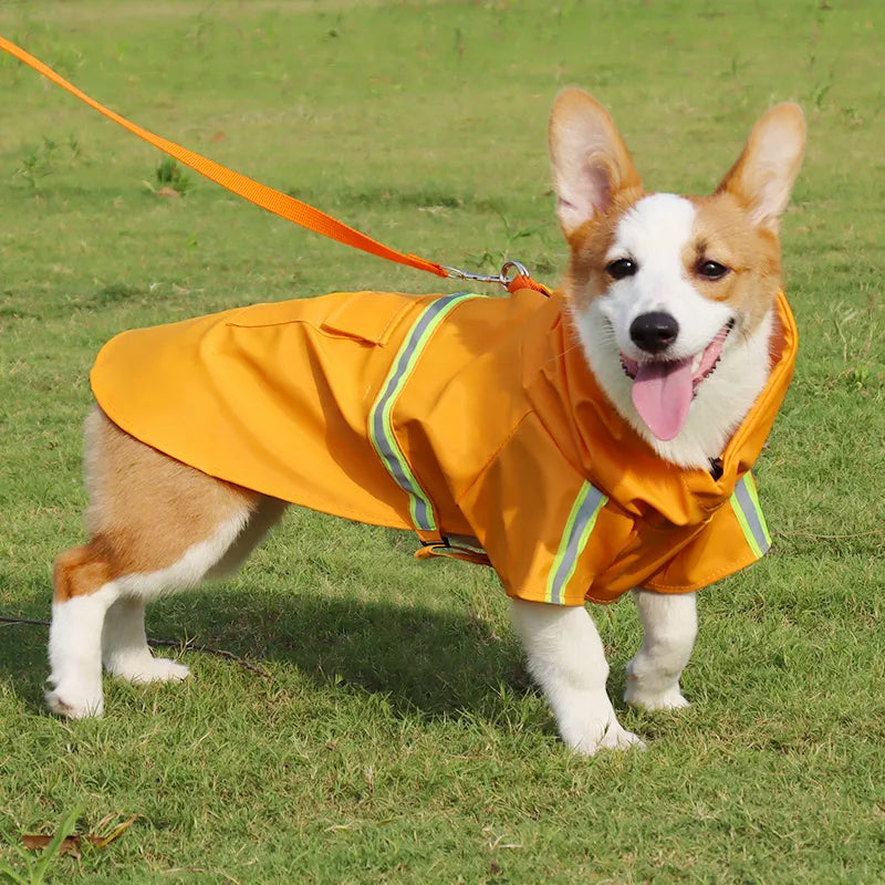 Manteau imperméable de qualité supérieure pour grand chien – Cape Corgi élégante, imperméable et réfléchissante.