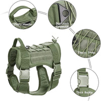 Ensemble harnais et laisse tactiques militaires pour chiens, pour l'entraînement du berger allemand K9