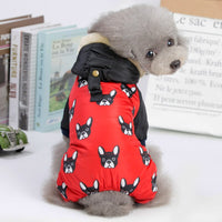 Stylish Autumn and Winter Dog Jackets for Small Dogs - YourCatBackpack.Co