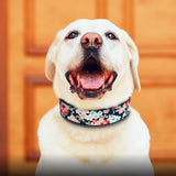 Collier pour chien en nylon élégant et réfléchissant pour petites et grandes races