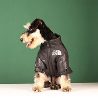 Veste d'hiver élégante pour bouledogues français et plus – Tenue chaude et réfléchissante pour animal de compagnie 