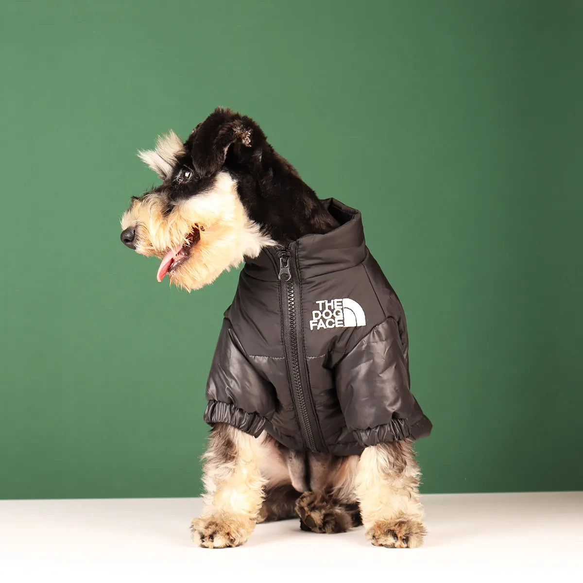 Veste d'hiver élégante pour bouledogues français et plus – Tenue chaude et réfléchissante pour animal de compagnie 