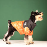 Veste d'hiver élégante pour bouledogues français et plus – Tenue chaude et réfléchissante pour animal de compagnie 