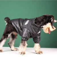 Veste d'hiver élégante pour bouledogues français et plus – Tenue chaude et réfléchissante pour animal de compagnie 