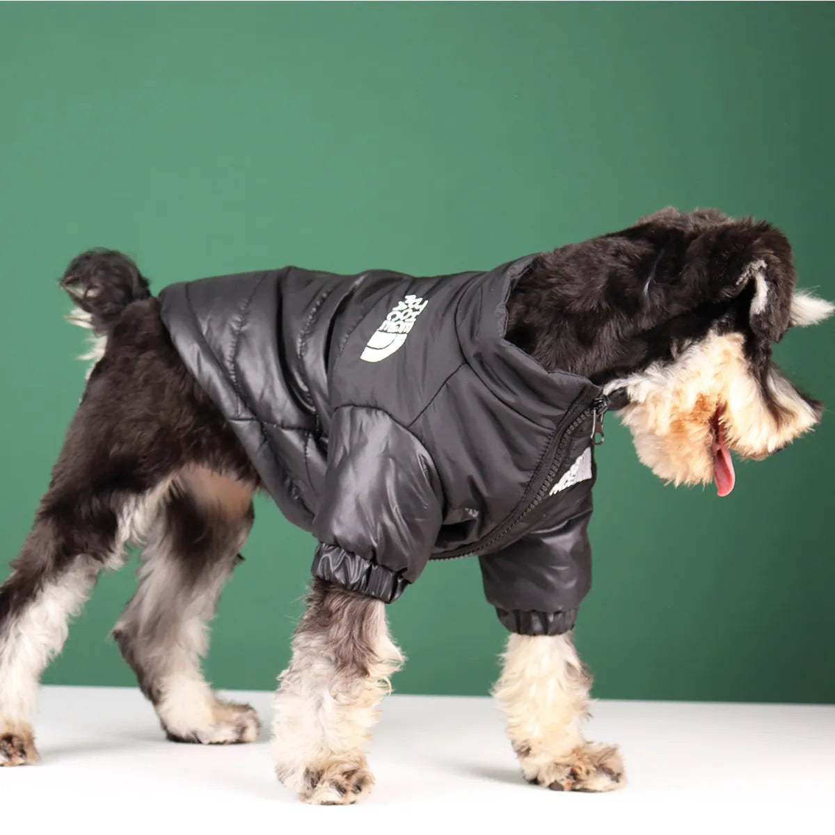 Veste d'hiver élégante pour bouledogues français et plus – Tenue chaude et réfléchissante pour animal de compagnie 