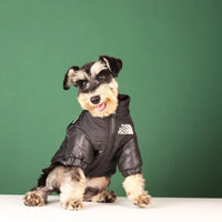 Veste d'hiver élégante pour bouledogues français et plus – Tenue chaude et réfléchissante pour animal de compagnie 