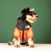 Veste d'hiver élégante pour bouledogues français et plus – Tenue chaude et réfléchissante pour animal de compagnie 