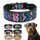 Collier pour chien en nylon élégant et réfléchissant pour petites et grandes races