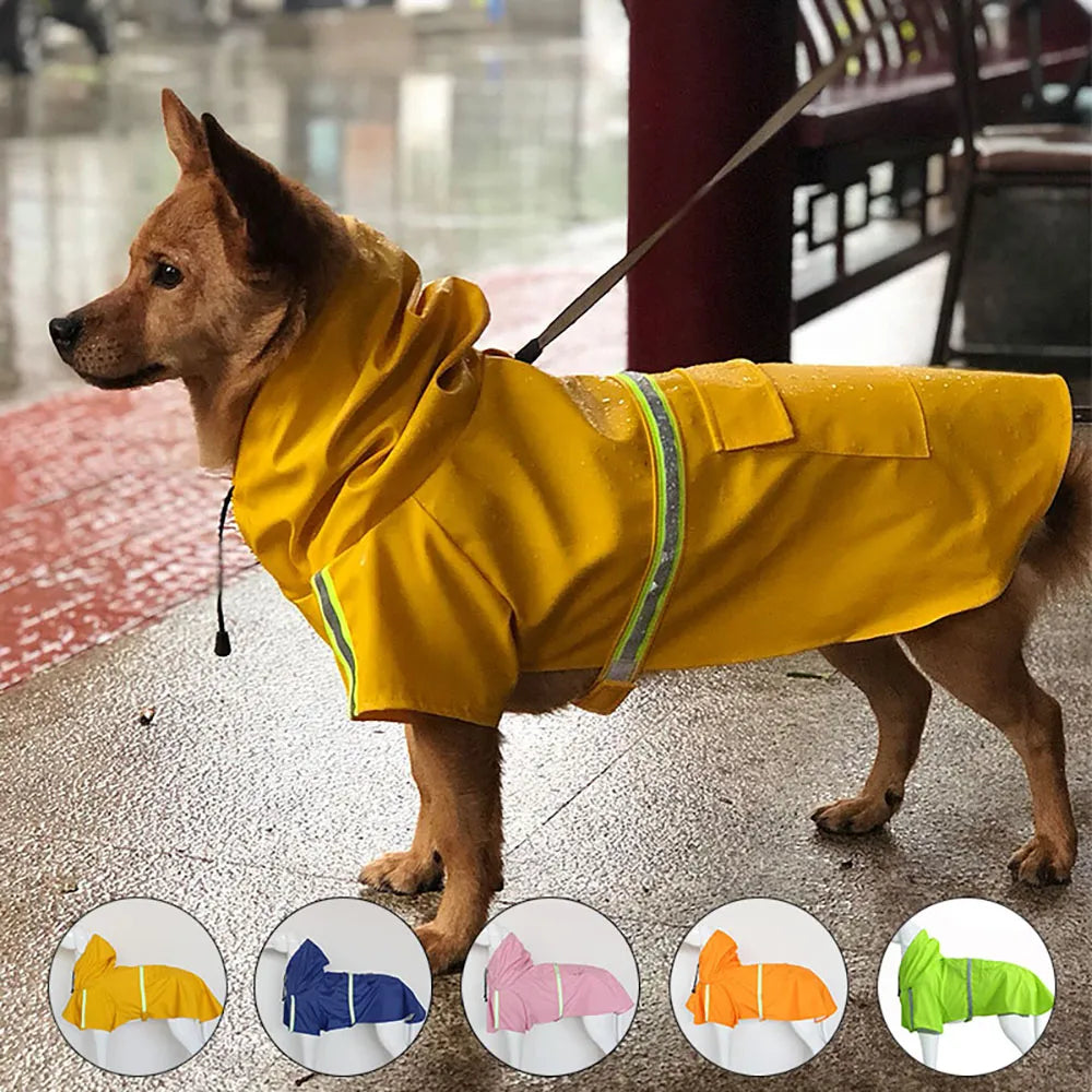 Manteau imperméable de qualité supérieure pour grand chien – Cape Corgi élégante, imperméable et réfléchissante.