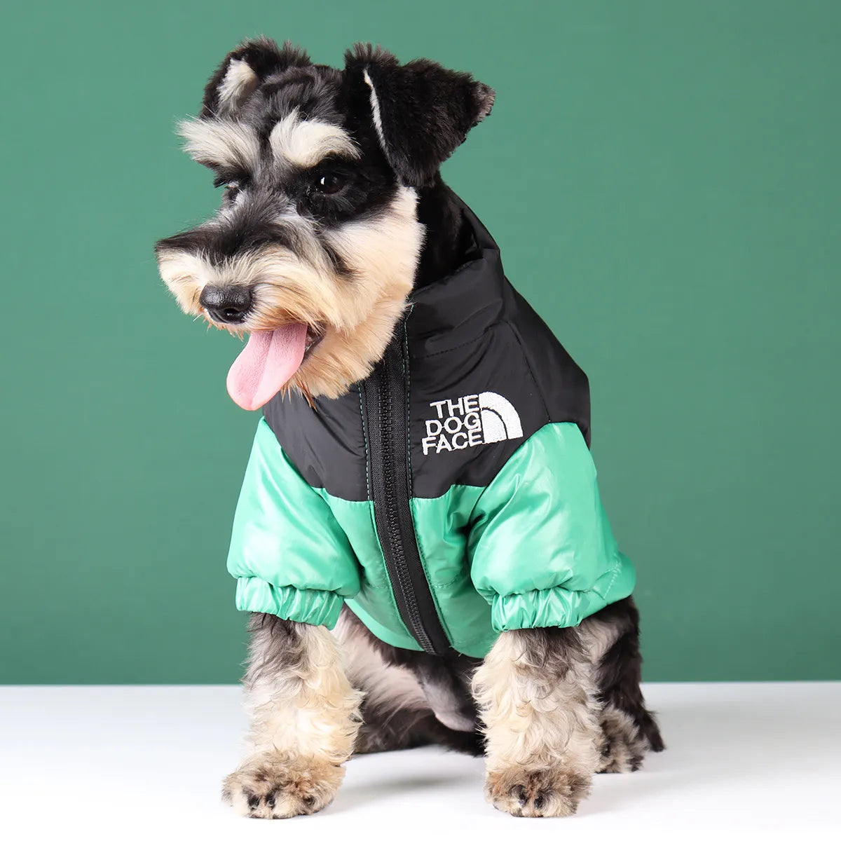 Veste d'hiver élégante pour bouledogues français et plus – Tenue chaude et réfléchissante pour animal de compagnie 