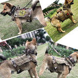Ensemble harnais et laisse tactiques militaires pour chiens, pour l'entraînement du berger allemand K9