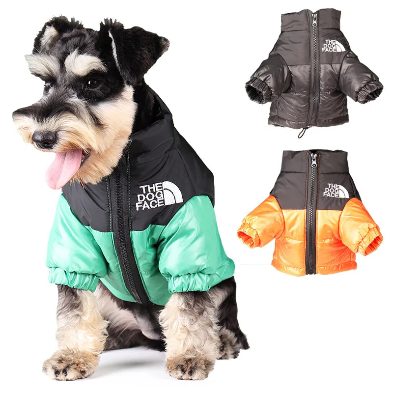 Veste d'hiver élégante pour bouledogues français et plus – Tenue chaude et réfléchissante pour animal de compagnie 