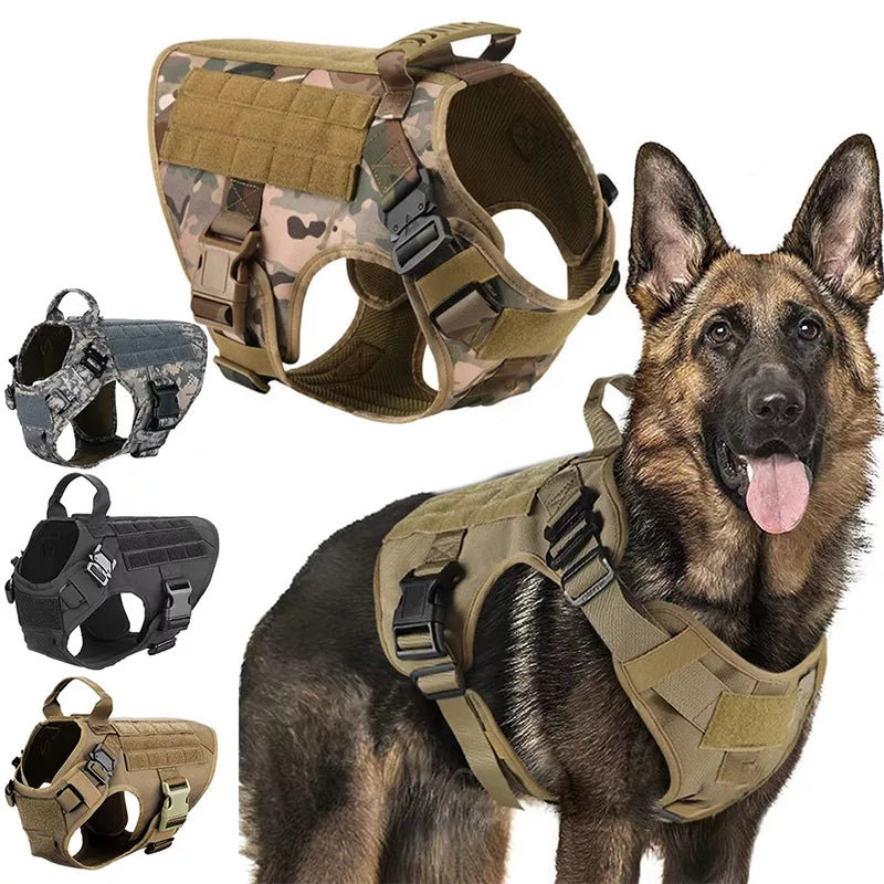 Ensemble harnais et laisse tactiques militaires pour chiens, pour l'entraînement du berger allemand K9