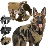 Ensemble harnais et laisse tactiques militaires pour chiens, pour l'entraînement du berger allemand K9