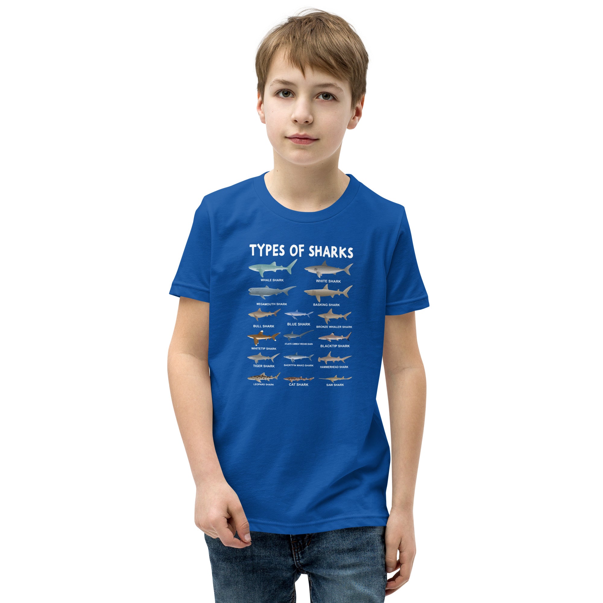 Youth Shark T-Shirt: Types of Sharks Graphic Tee - Cuccico Design