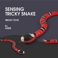 Smart Sensing Snake Cat Toy with USB Charging - YourCatBackpack.Co