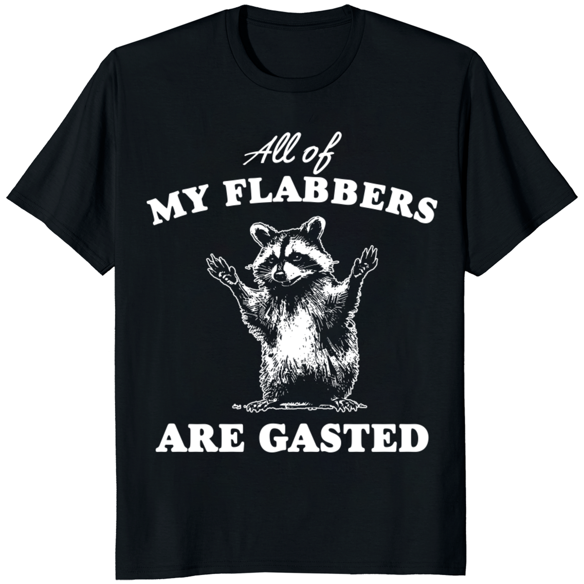 All of My Flabbers Are Gasted Shirt – Funny Raccoon Tee by Cuccico | Cuccico