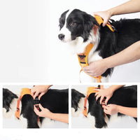 Innovative Dog Walking Harness with Retractable Leash - YourCatBackpack.Co