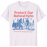 Cryptid National Parks shirt in ice grey