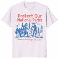 Cryptid National Parks shirt in ice grey