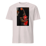 Cuccico Jordan vs LeBron T‑shirt in ice grey with Basketball GOAT graphic
