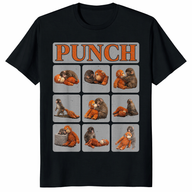 Cute Baby Monkey Named Punch Shirt trending design shirt