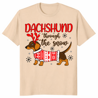 Dachshund through the snow in sand
