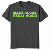 Make Algae Great Again Meme Shirt – DOGE Reflecting Pool Tee | Cuccico