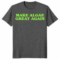 Make Algae Great Again Meme Shirt – DOGE Reflecting Pool Tee | Cuccico